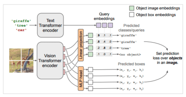 Architecture of the OWLViT model. Illustration from the original paper