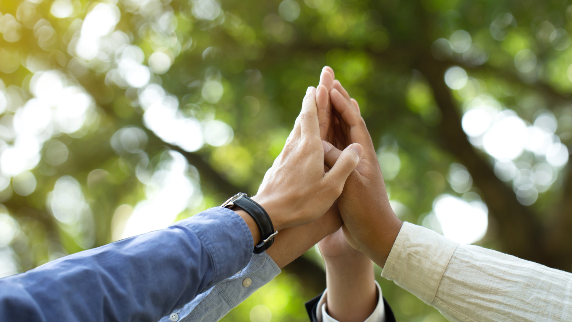 AI-for-Good: Dataiku’s Global Impact on NGO Missions