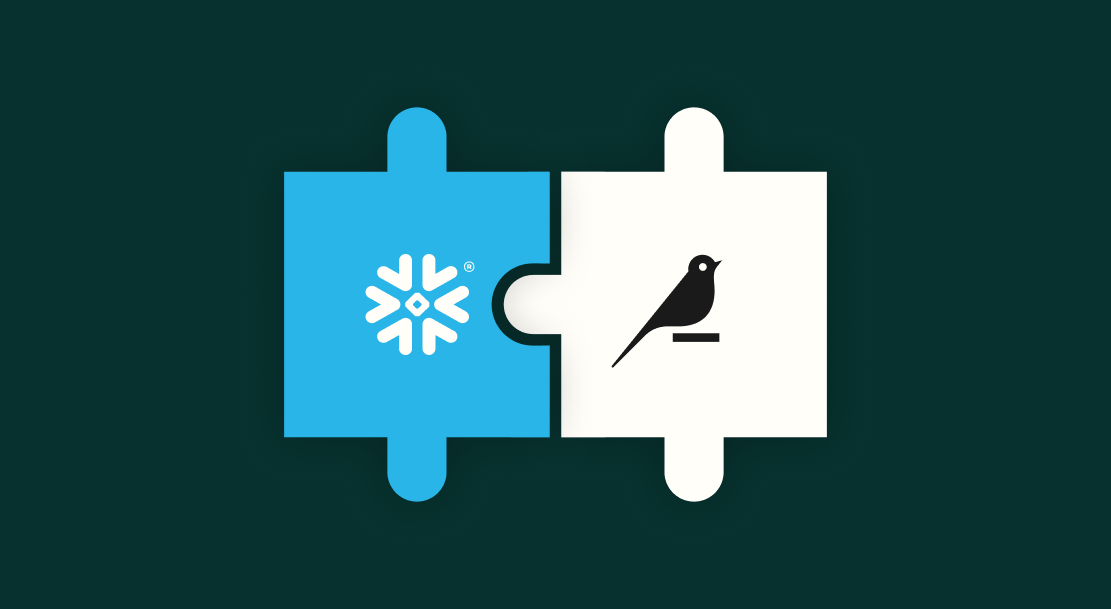 I have Snowflake, why do I need Dataiku?